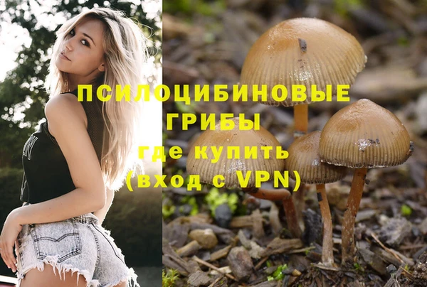 дурь Новозыбков