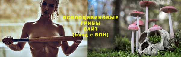 дурь Новозыбков