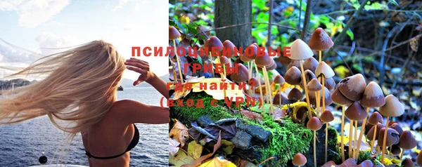 дурь Новозыбков