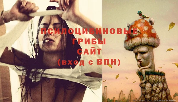 спиды Новокубанск