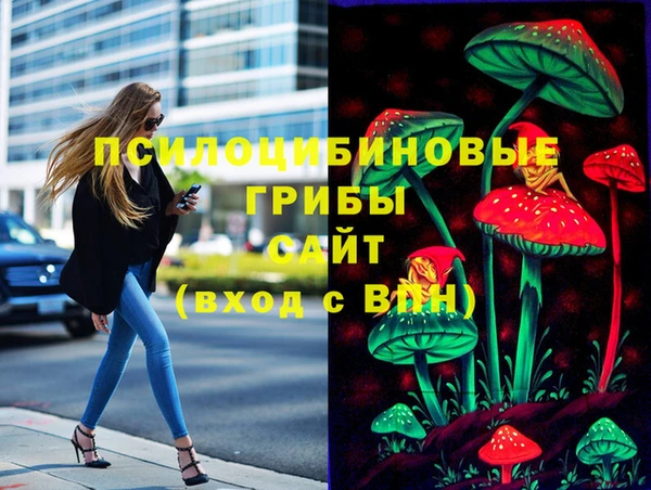 PSILOCYBIN Володарск